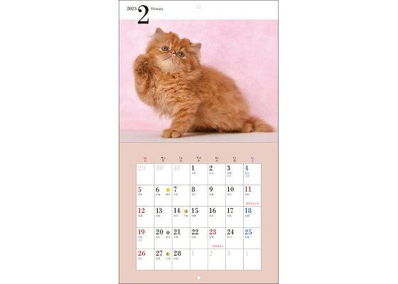 楽天ブックス 23年カレンダー かわいいこねこ 井川 俊彦 本 楽天ブックス 23年カレンダー かわいいこねこ 井川 俊彦 本